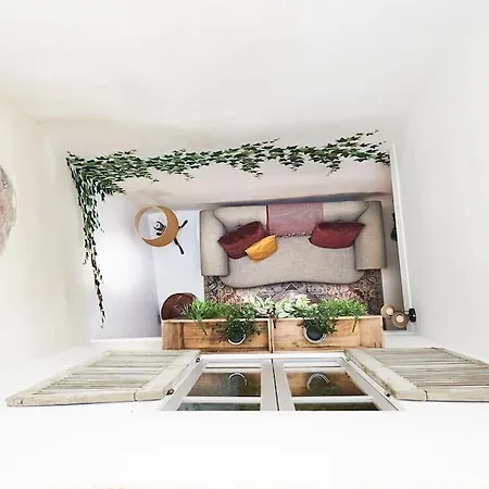 The French House In Quillan